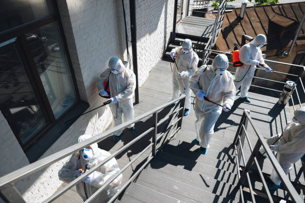 Best Black Mold Removal  in Sundance, WY
