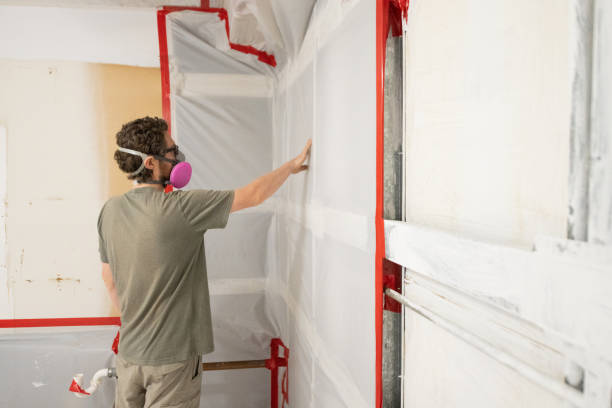 Best Industrial Mold Remediation  in Sundance, WY