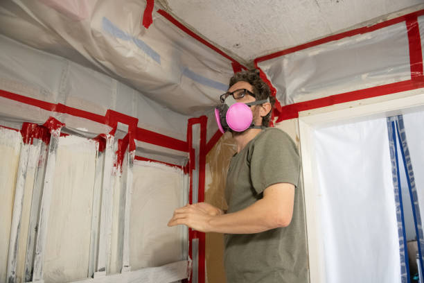  Sundance, WY Mold Removal Pros
