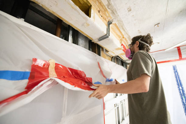 Reliable Sundance, WY Mold Removal Solutions