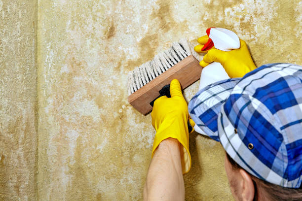 Dehumidification Services in Sundance, WY