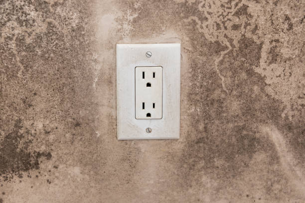 Best Emergency Mold Remediation  in Sundance, WY