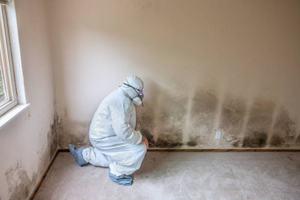 Mold Remediation for Rental Properties in Sundance, WY