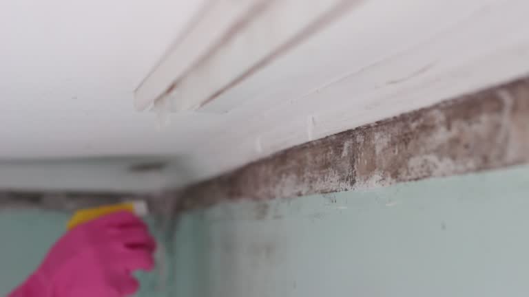 Asbestos and Lead Testing During Mold Inspection in Sundance, WY